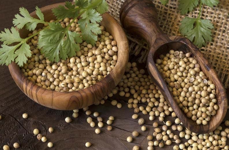 Semi Di Coriandolo Sani E Gustosi Per Usi Multiuso A Prezzi Ragionevoli Alibaba